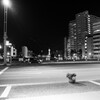 遠く博多タワーをモノクロで