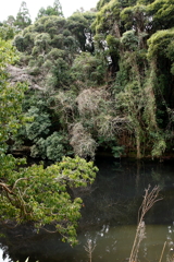 隠れ沼地