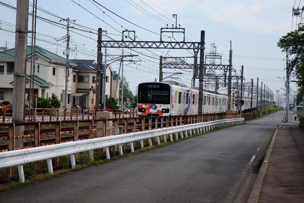 朝のお散歩の一コマ