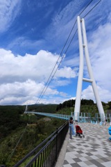 青空に映えていたので