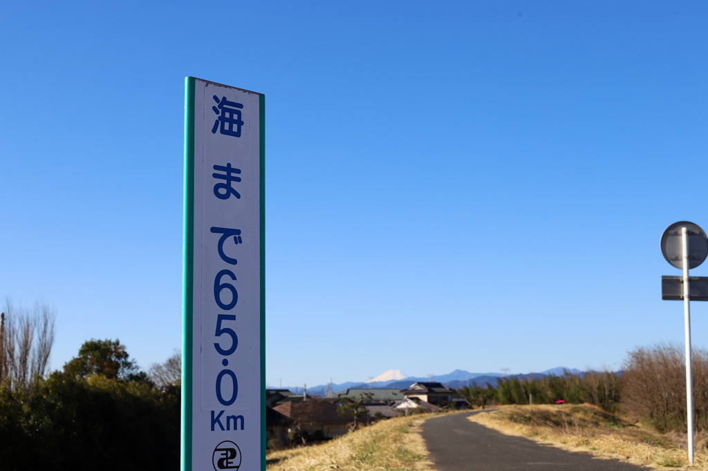 朝のお散歩の一コマ　どちらも遠いなぁ