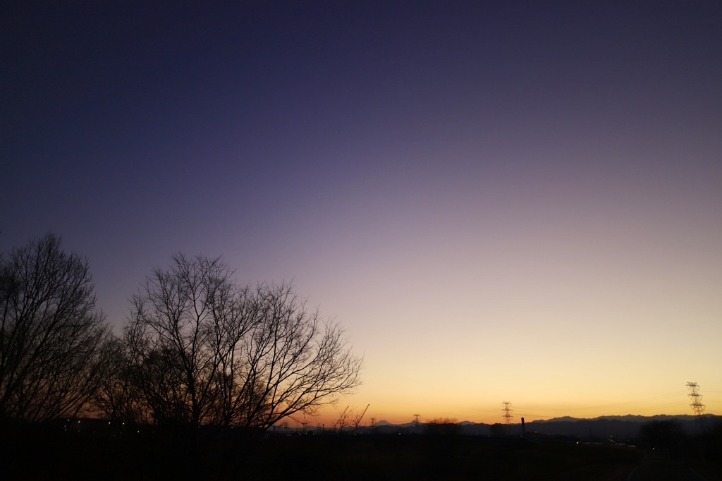 夕暮れのお散歩の一コマ