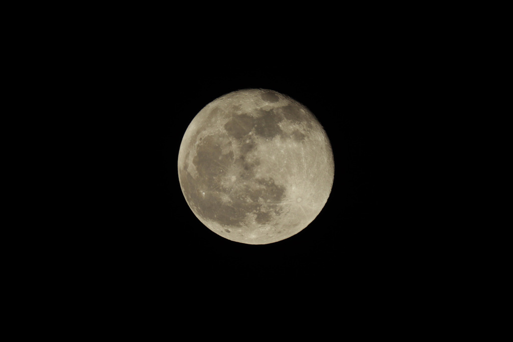 月が眩しかったから