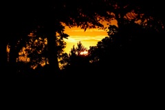 夕焼け空
