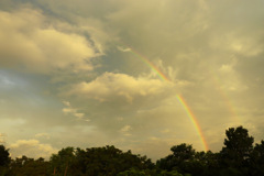 朝焼け雲に虹がかかっていたので