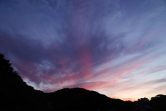 夕焼けが綺麗だったので