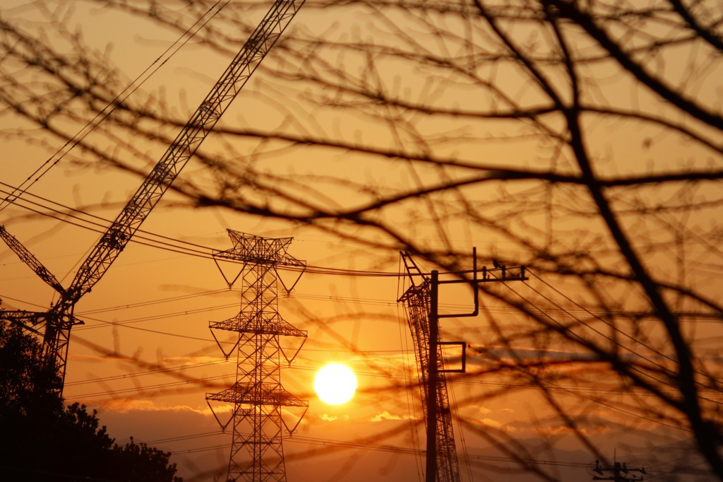 夕暮れのお散歩の一コマ