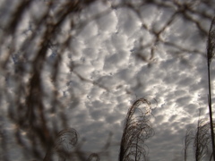 今日の空