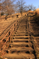 公園の階段（2）