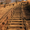 公園の階段（2）
