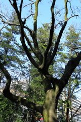 玄海田公園　木