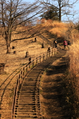 公園の階段（1）
