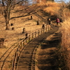 公園の階段（1）