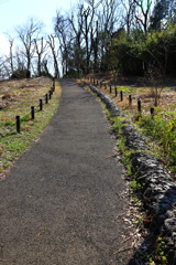 玄海田公園　登り坂