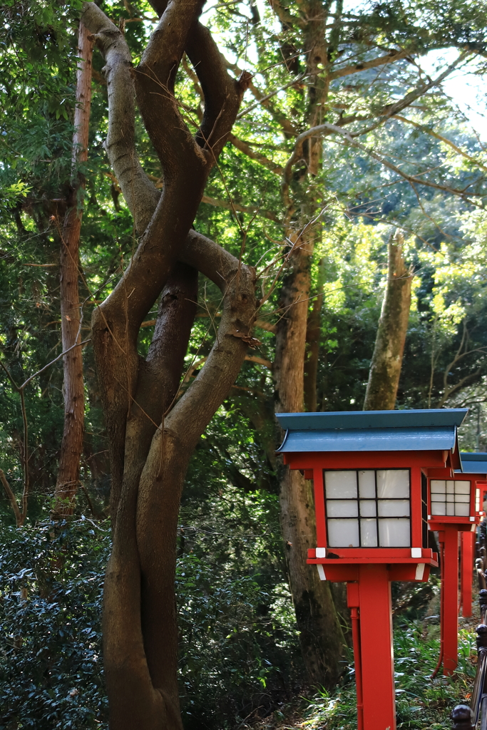 高尾山　参道（３）