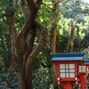 高尾山　参道（３）