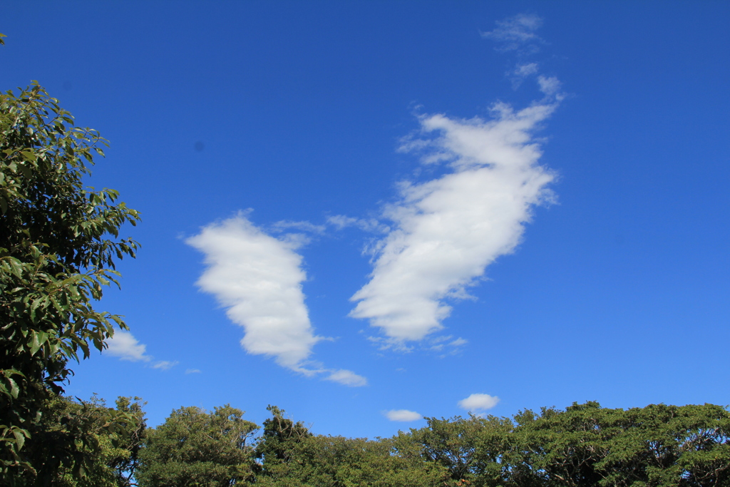観音崎　雲（３）