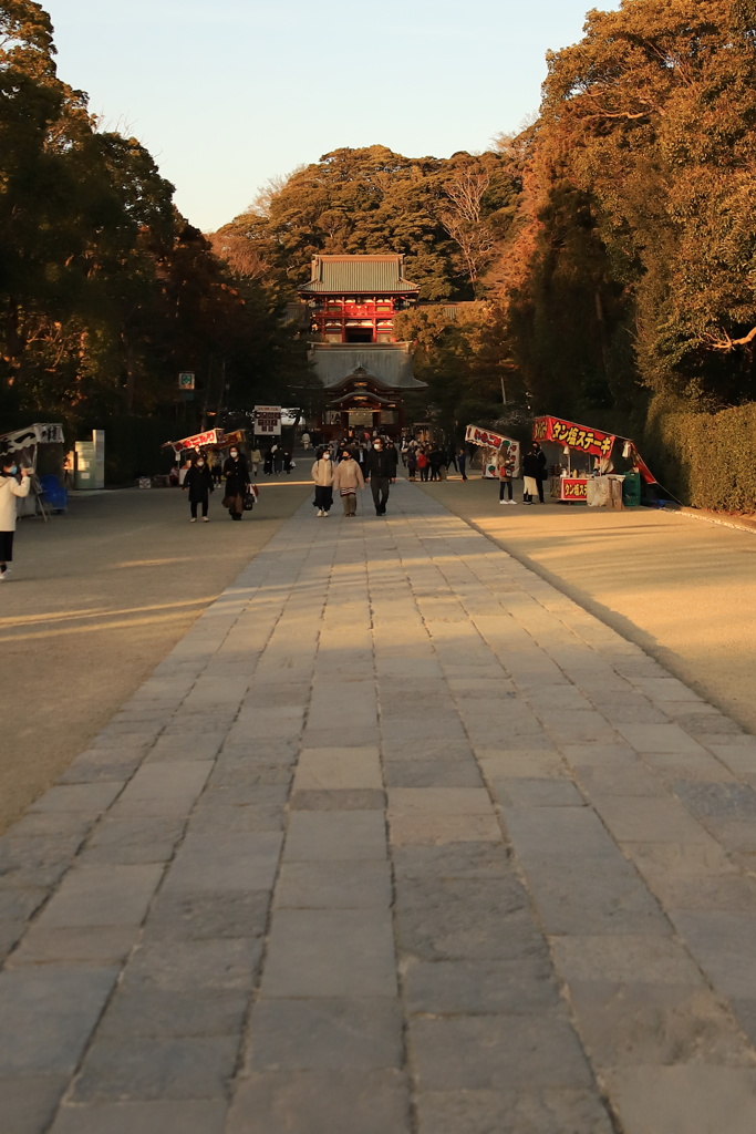 鎌倉　鶴岡八幡宮