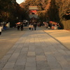 鎌倉　鶴岡八幡宮
