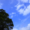 くりはま花の国　空