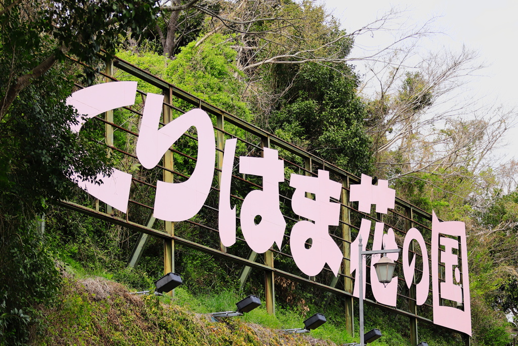 くりはま花の国　看板ー１