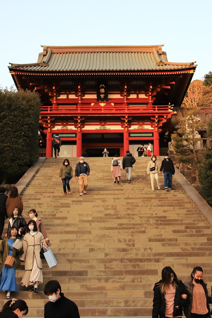 鎌倉　鶴岡八幡宮（２）