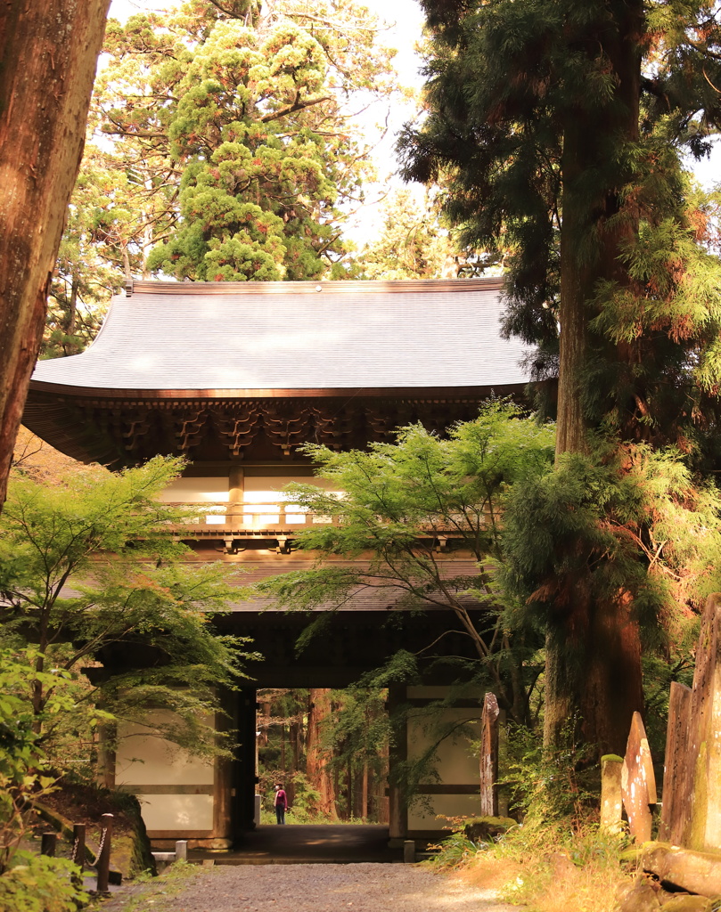 最乗寺　山門