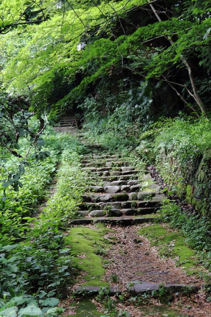 王禅寺　参道