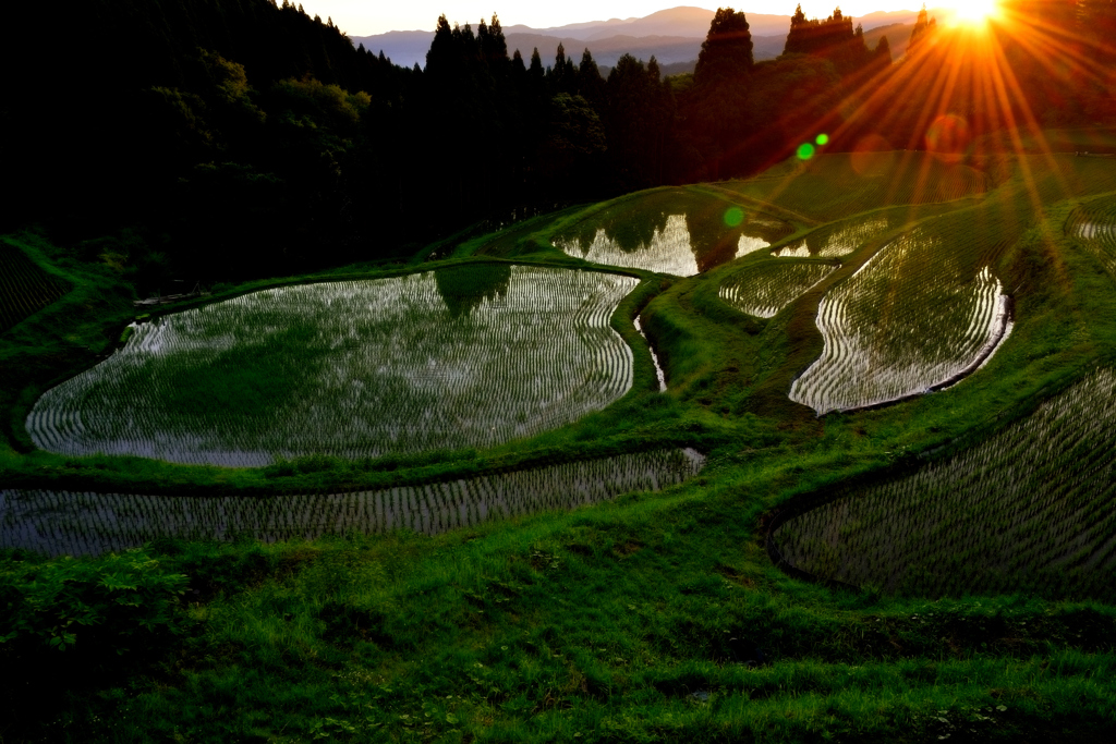 うえ山の棚田