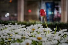 its okay to be different! 