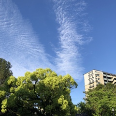 ありがとう