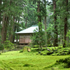 苔宮　平泉寺白山神社 拝殿