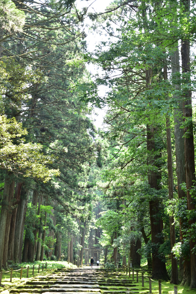 平泉寺（苔宮）