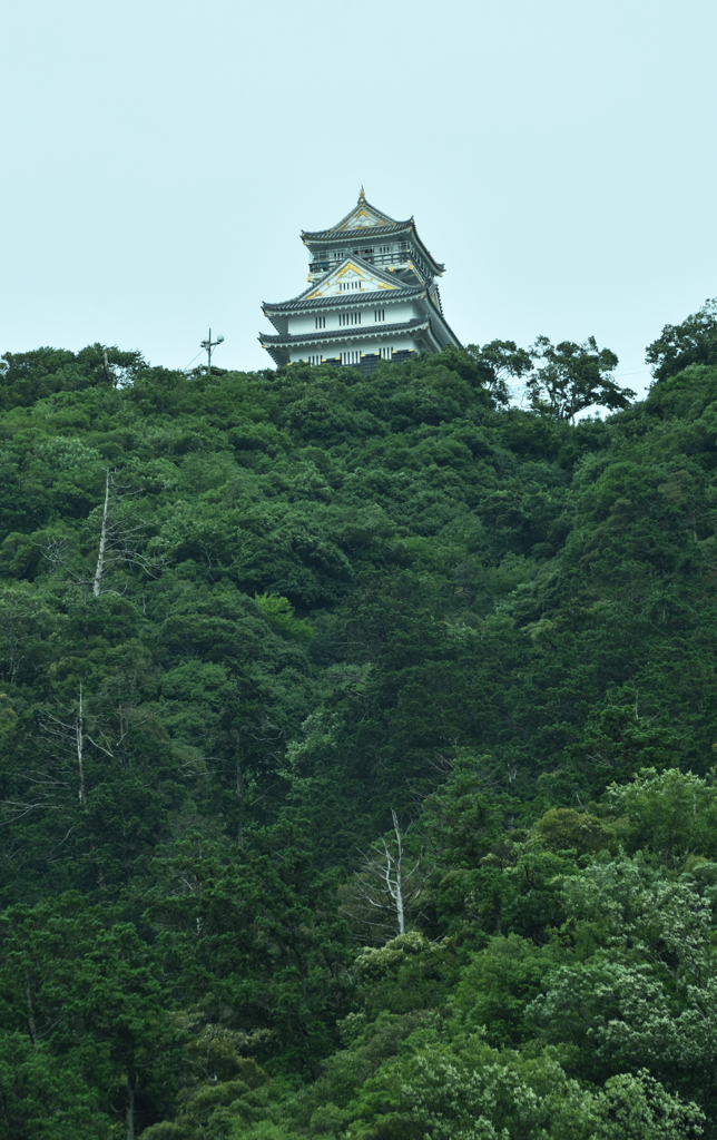 岐阜城と三重の塔