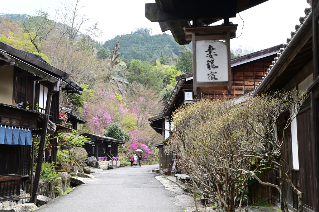 ツツジの妻籠宿