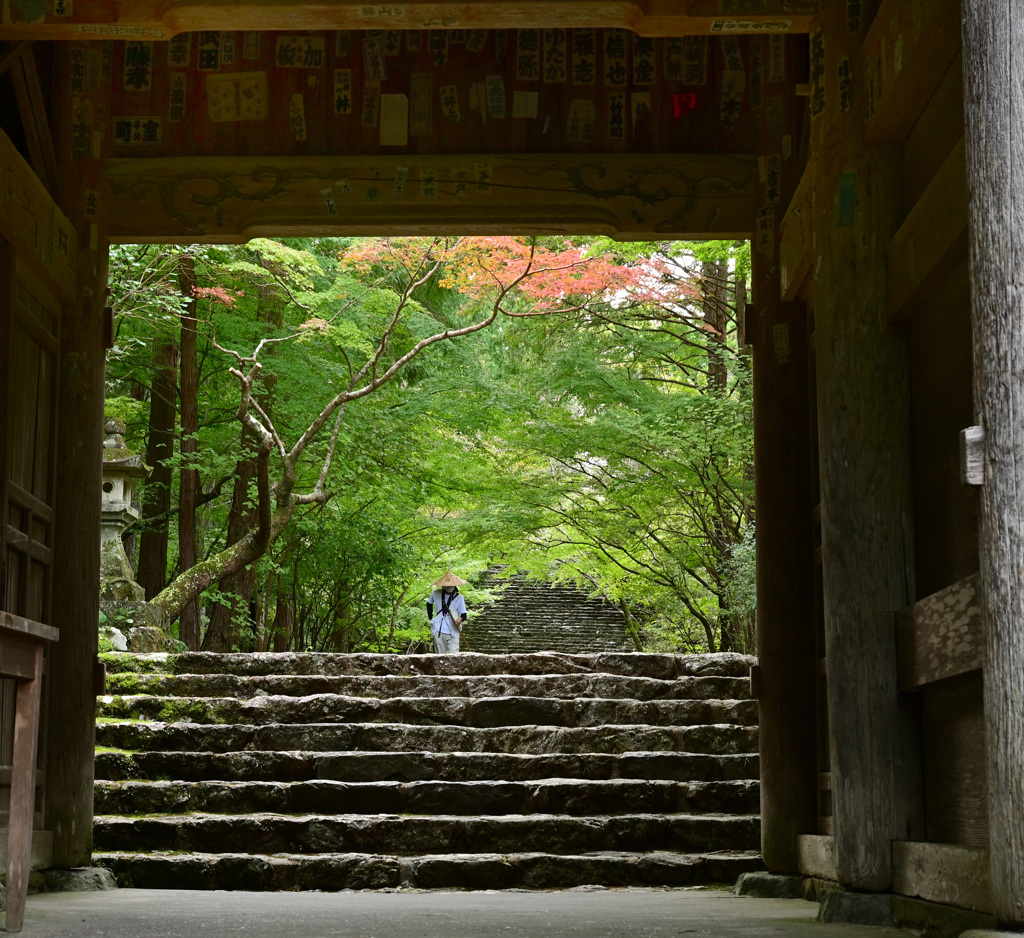 四国八十八所三十一番札所　「五台山 竹林寺」