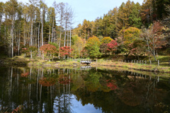 せせらぎ街道　西ウレ峠