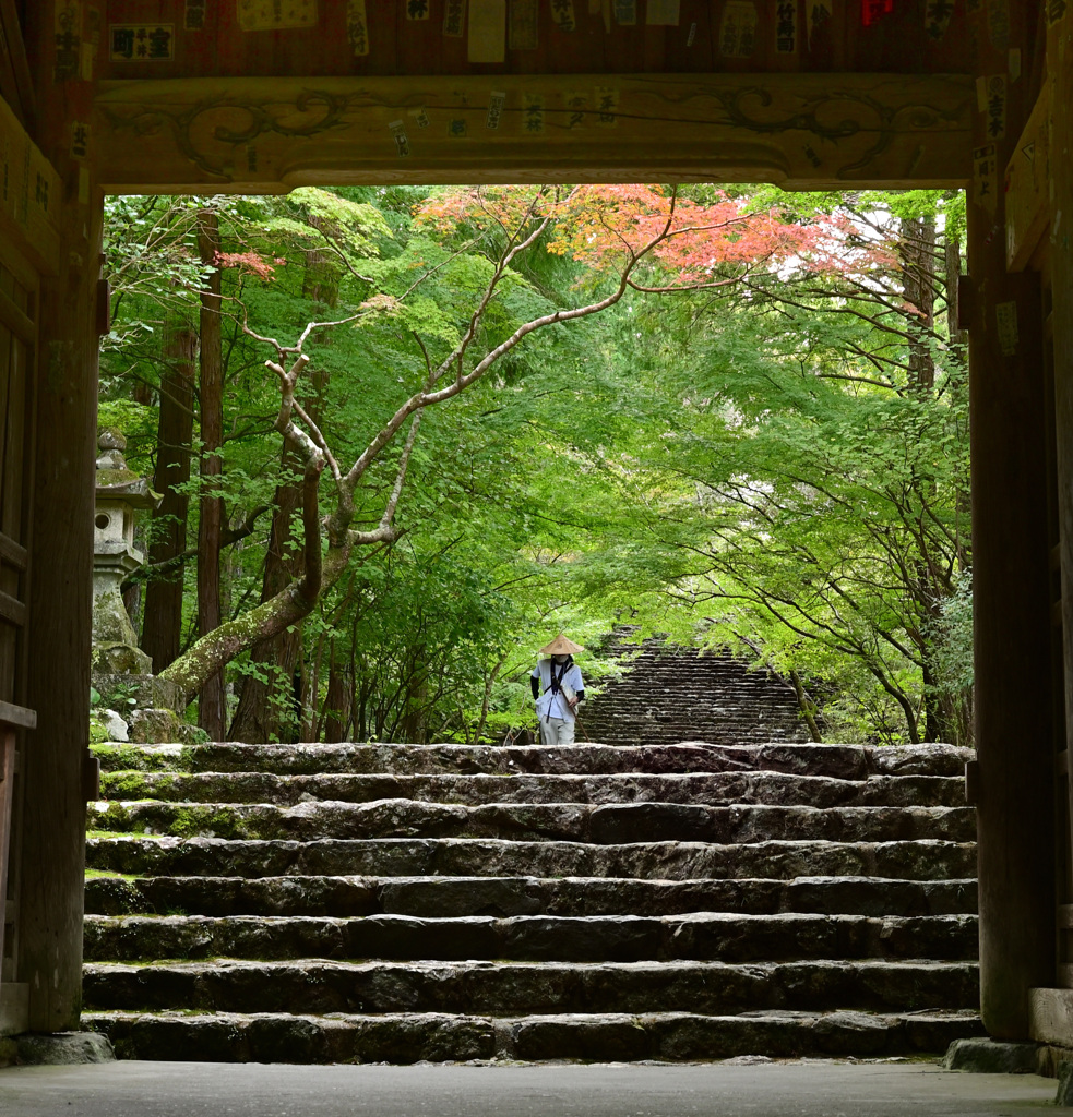 お遍路　三十一番札所