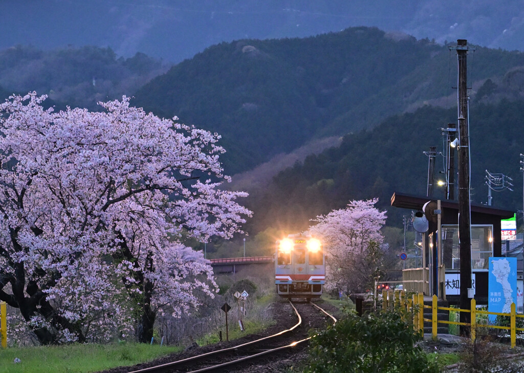 夕暮れの樽見鉄道