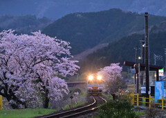 夕暮れの樽見鉄道