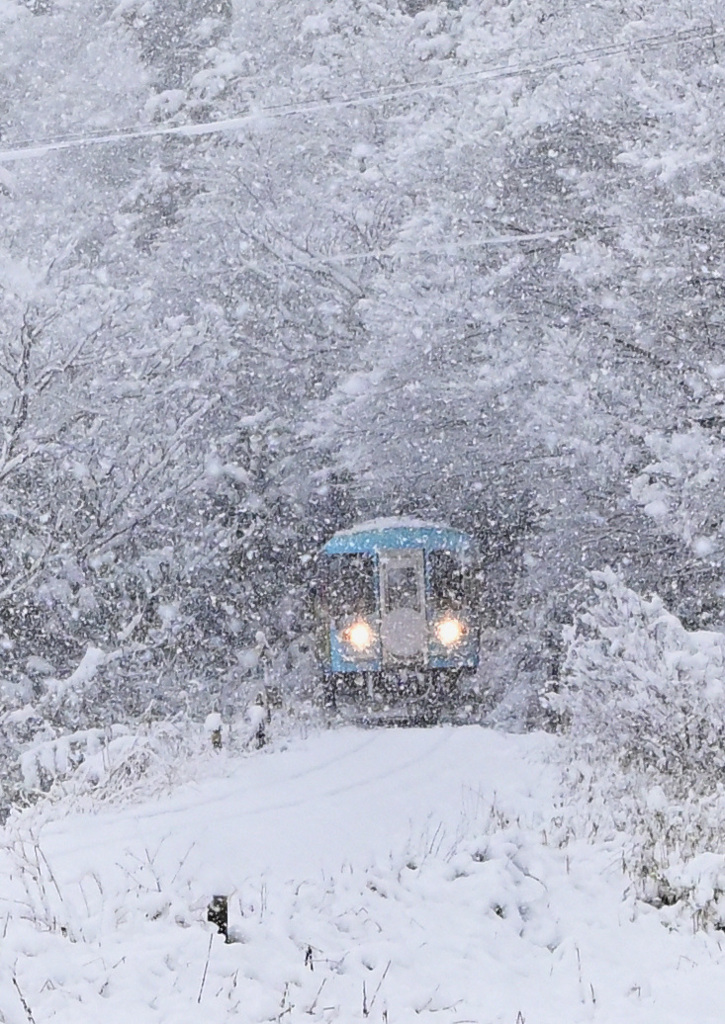雪の樽見鉄道