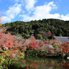 京都紅葉　永観堂