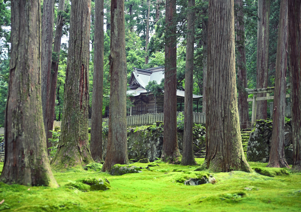 苔宮 平泉寺白山神社