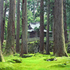 苔宮 平泉寺白山神社