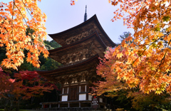 湖東三山　西明寺紅葉