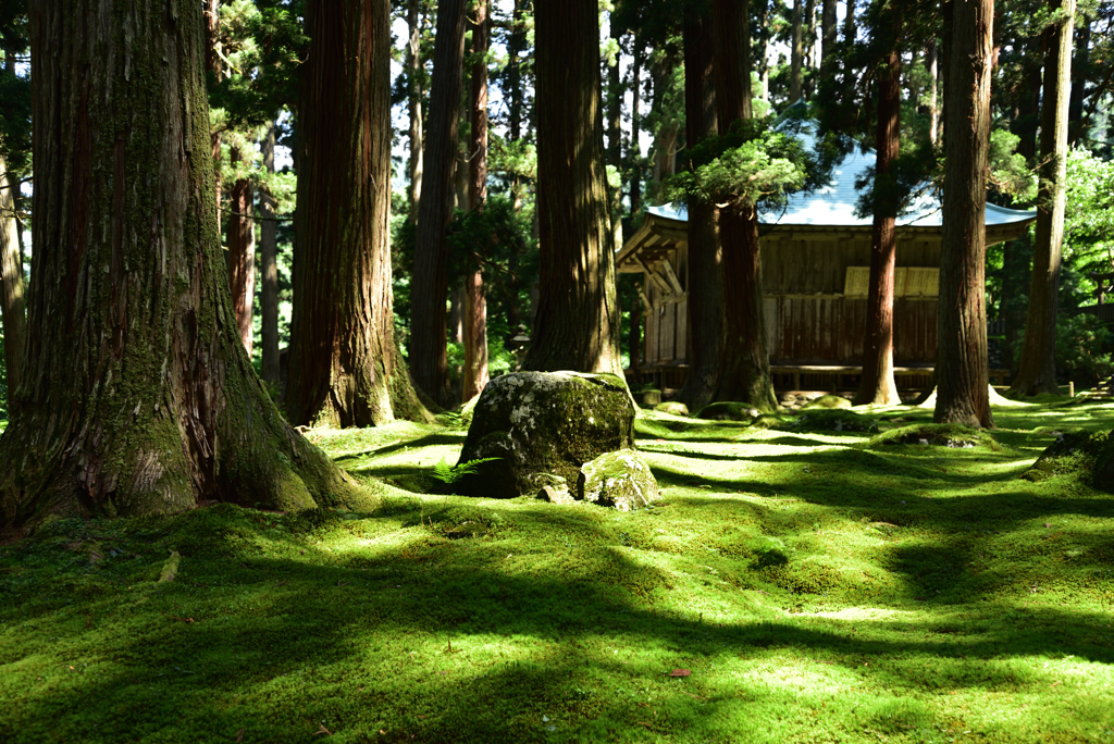 平泉寺（苔宮）