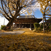祖父江裕専寺