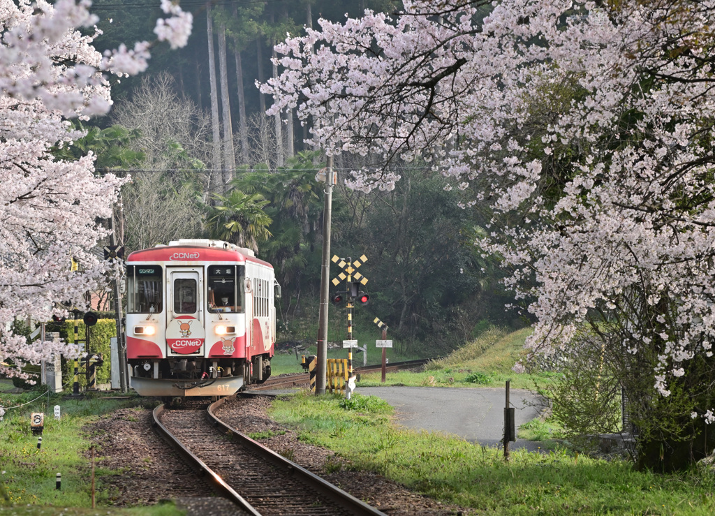 樽見鉄道