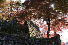 郡上八幡城　石垣と紅葉