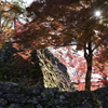 郡上八幡城　石垣と紅葉